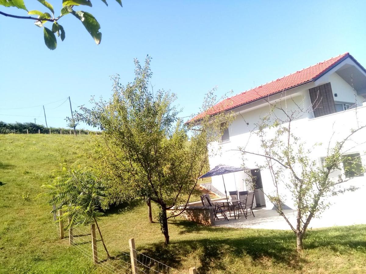 Grajsko Metlika Exterior foto